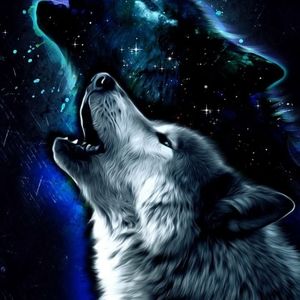 Meet your Posher, Skyler